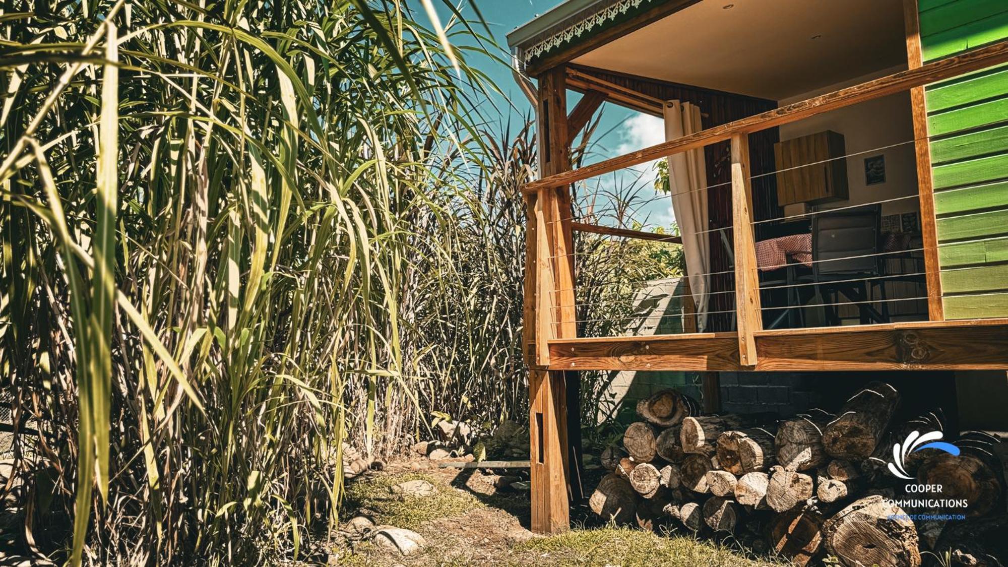 Chalet Tikaz Sandjo Noël Zewnętrze zdjęcie