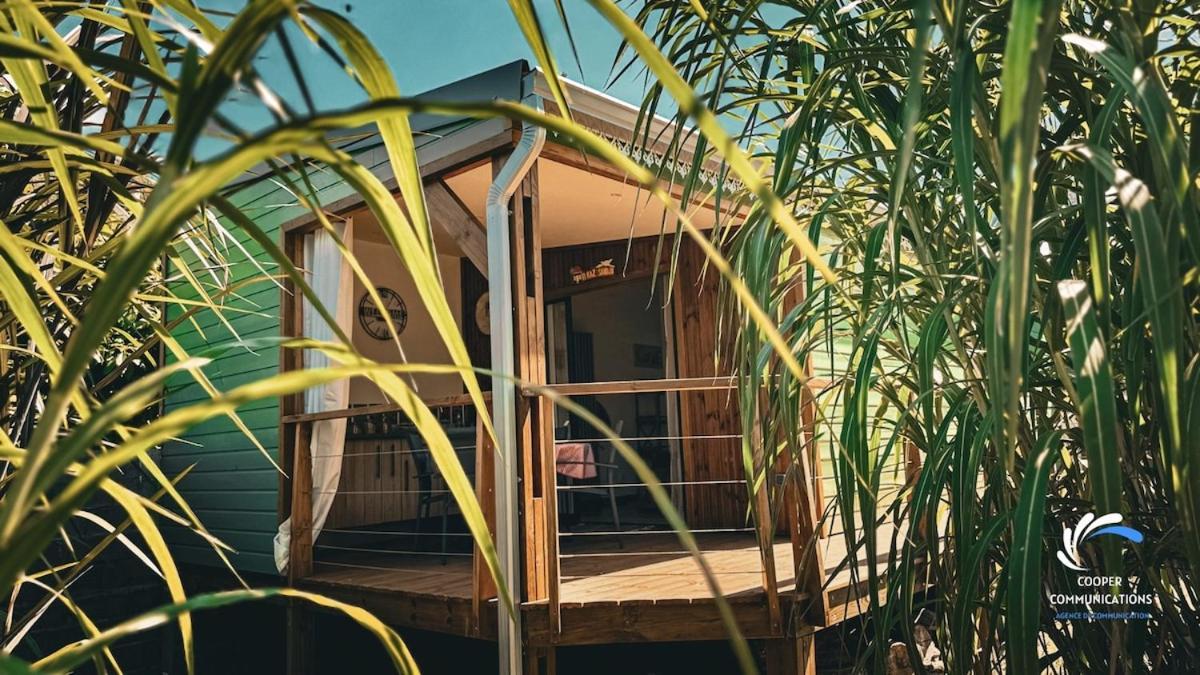 Chalet Tikaz Sandjo Noël Zewnętrze zdjęcie